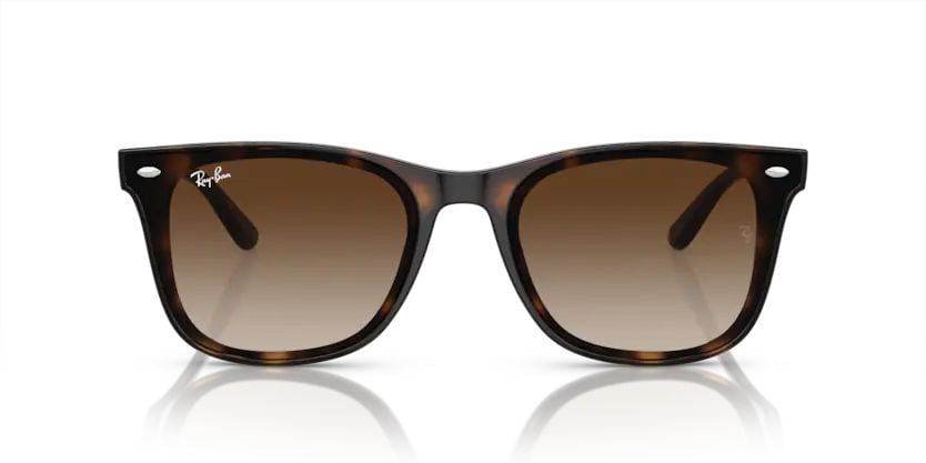 Rayban 0RB4420 710/13 65 Unisex Günes Gözlük