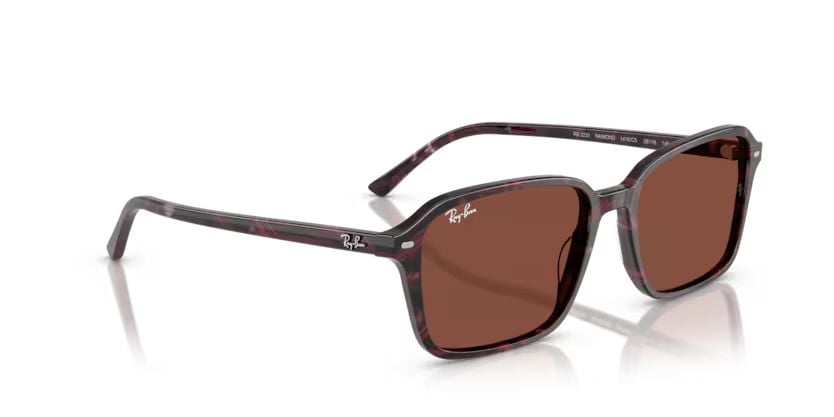 Rayban 0RB2231 1416C5 58 Unisex Günes Gözlük