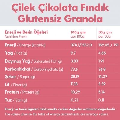 10 Paket Çikolata Çilek Fındık Glutensiz İlave Şekersiz Vegan Granola 100gr