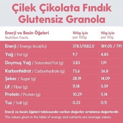 2 Paket Çikolata Çilek Fındık Glutensiz İlave Şekersiz Vegan Granola 250gr