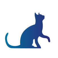 KEDİ ÜRÜNLERİ