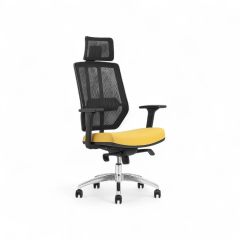 Legacy Fileli Yönetici Koltuğu