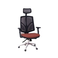 Theori Yönetici Koltuğu