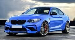 BMW 1 SERISI F20 LCI M2C ÖN TAMPON PANJUR SETİ (2015-2018)