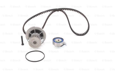 SU POMPALI TRİGER SETİ WASSERPUMPEN-SET