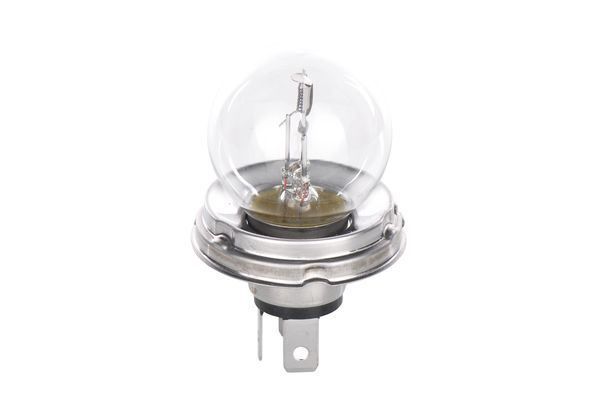 AMPUL ECO TRUCK R2 24 V 55/50 W P45T
