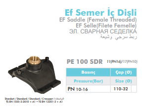 EF SEMER İÇ DİŞLİ