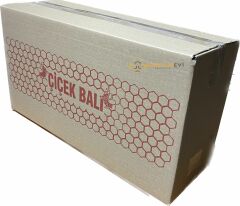 ﻿4 Çerçevelik Bal Kolisi – 10 Adet