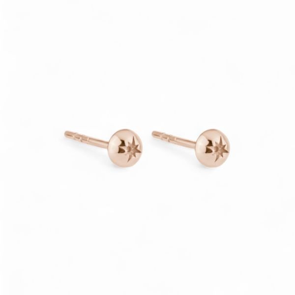 Rose Kaplama Tragus Küpe