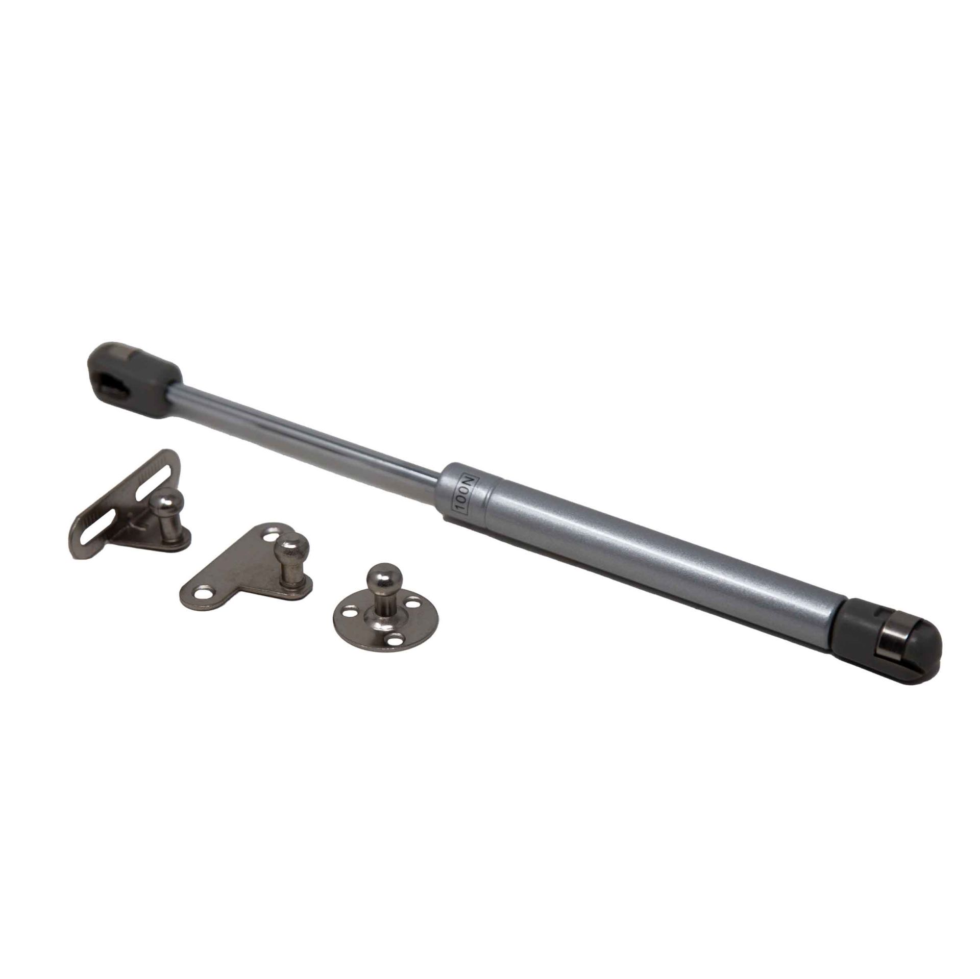 Gazlı Piston 100N (10 Adet)