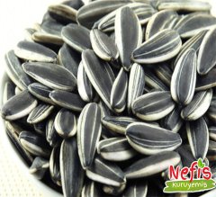 Sunflower Seeds Raw  (Ay Çekirdeği  Çiğ)