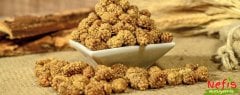 Dried mulberry (Dut Kurusu)