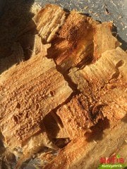 Fırınlanmış Tarhana 475 gr