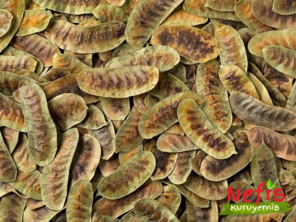 Hunger Herb (Açlık Otu)