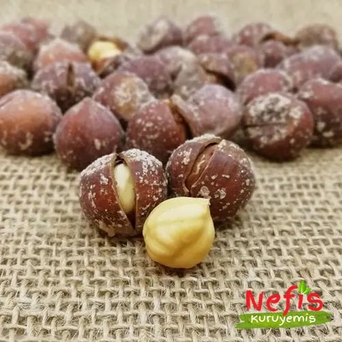 Roasted Hazelnut In Shell (KABUKLU KAVRULMUŞ FINDIK)