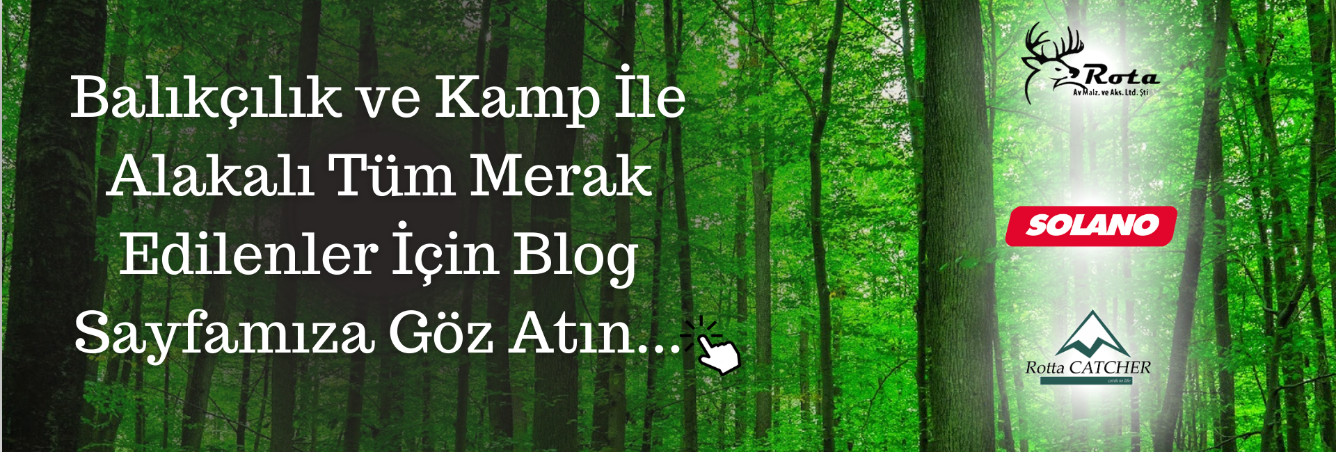 Blog
