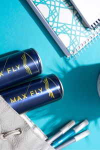 MAX FLY Enerji İçeceği 250ml 12 Adet