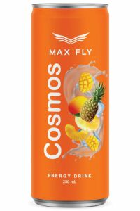 Max Fly Enerji İçeceği 250 ml Karma Paket 12'li