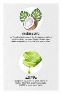 URBAN CARE PURE COCONUT&ALOE VERAx200MLx24