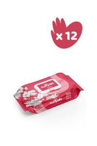 CLAPPERS Deria Islak Mendil 100 Yaprak 12'li Paket