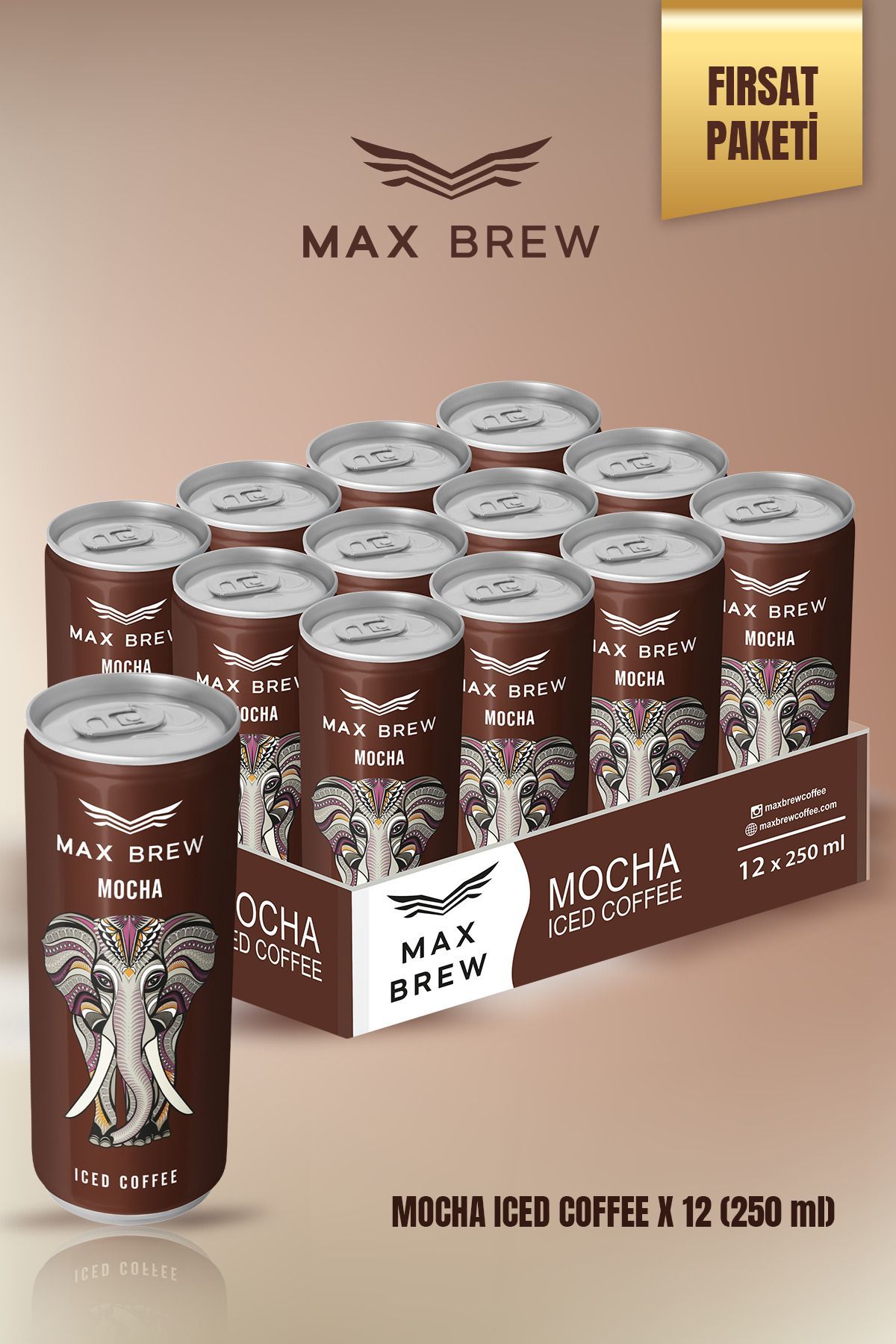 Max Brew Mocha Soğuk Kahve 250 ML 12 Adet