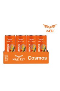 MAX FLY COSMOS ENERJİ İÇECEĞİ 250ML 24 ADET