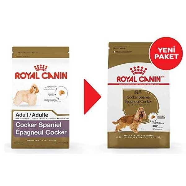 Royal Canin Cocker Irka Özel Yetişkin Köpek Maması 3 kg