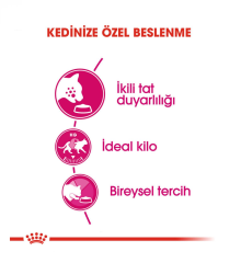 Royal Canin Exigent Savour Sensation Yetişkin Kedi Maması 4 kg