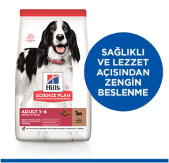 Hills Kuzu Etli Orta Irk Yetişkin Köpek Maması 14 Kg