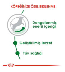 Royal Canin Mini Adult Köpek Maması 4 Kg