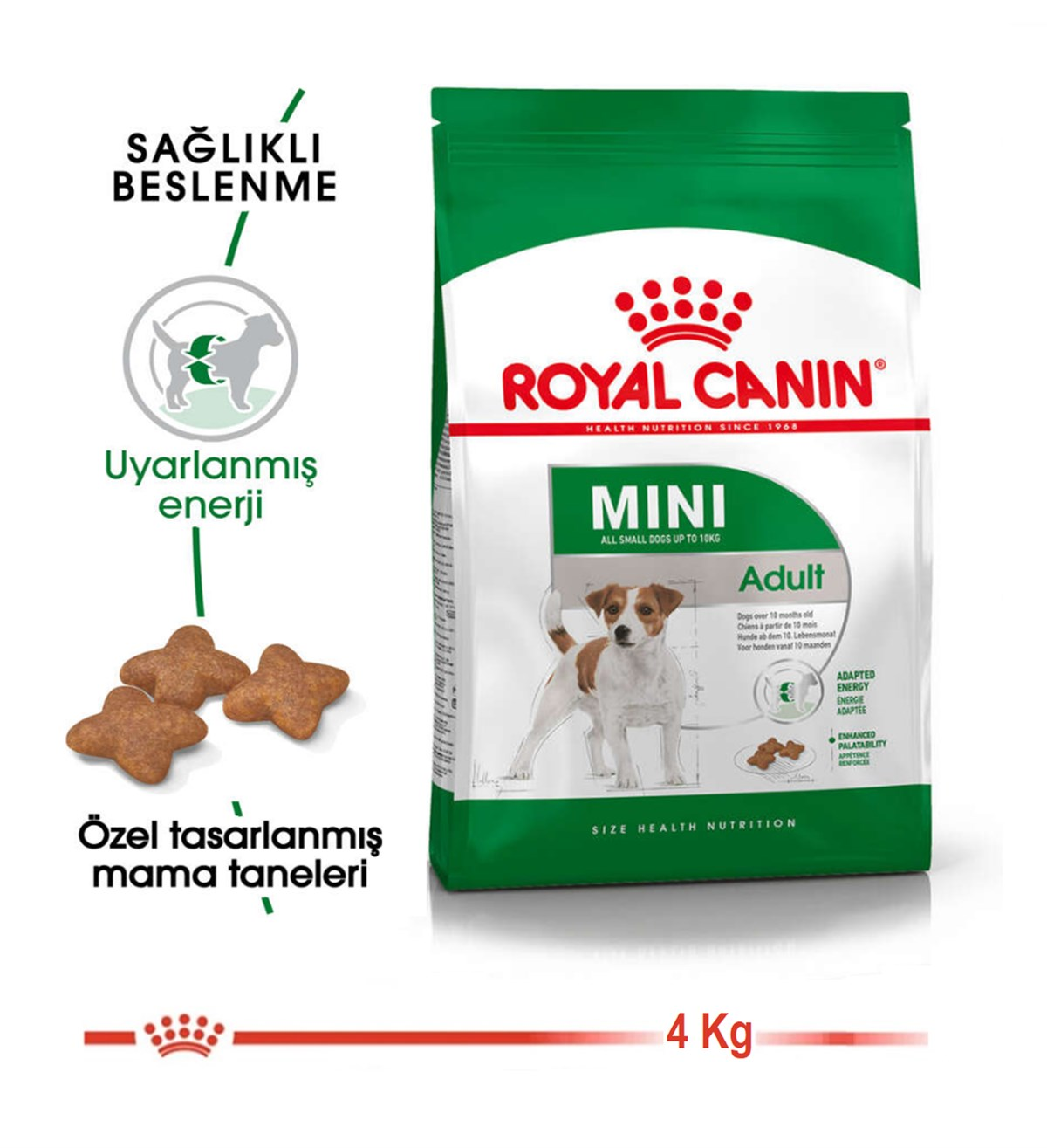 Royal Canin Mini Adult Köpek Maması 4 Kg