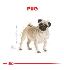 Royal Canin Pug Adult Köpek Maması 1,5 kg.