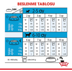 Royal Canin Mini Junior Küçük Irk Yavru Köpek Maması 4Kg