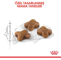 Royal Canin Kitten Yavru Kedi Maması 4 Kg