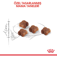 Royal Canin  Babycat Yavru Kedi Maması 4 Kg