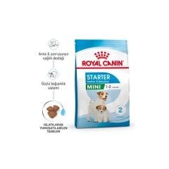 Royal Canin Mini Starter Mother And Babydog Köpek Maması 4 kg