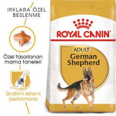 Royal Canin German Shepherd Yetişkin Köpek Maması 11 kg