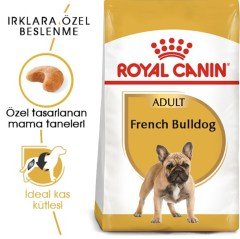 Royal Canin French Bulldog Yetişkin Köpek Maması 3 Kg