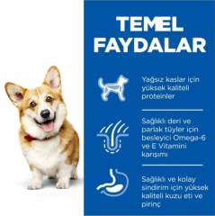 Hill's Small Mini Kuzulu Yetişkin Köpek Maması 6 kg