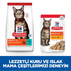 Hills Science Plan Adult Balıklı Kedi Maması 1,5 Kg