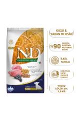 N&D Düşük Tahıllı Kuzulu Yaban Mersinli Yavru Küçük Irk Köpek Maması 2.5 kg