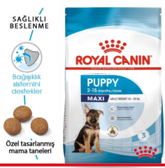 Royal Canin Maxi Puppy Büyük Irk Yavru Köpek Maması 15 Kg