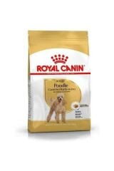 Royal Canin Poodle Adult 3 Kg Köpek Maması