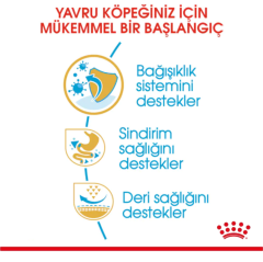 Royal Canin French Bulldog Junior Yavru Köpek Maması 3 Kg