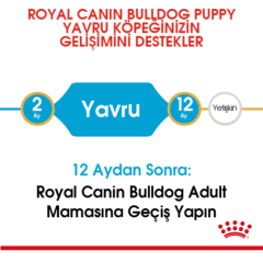 Royal Canin French Bulldog Junior Yavru Köpek Maması 3 Kg