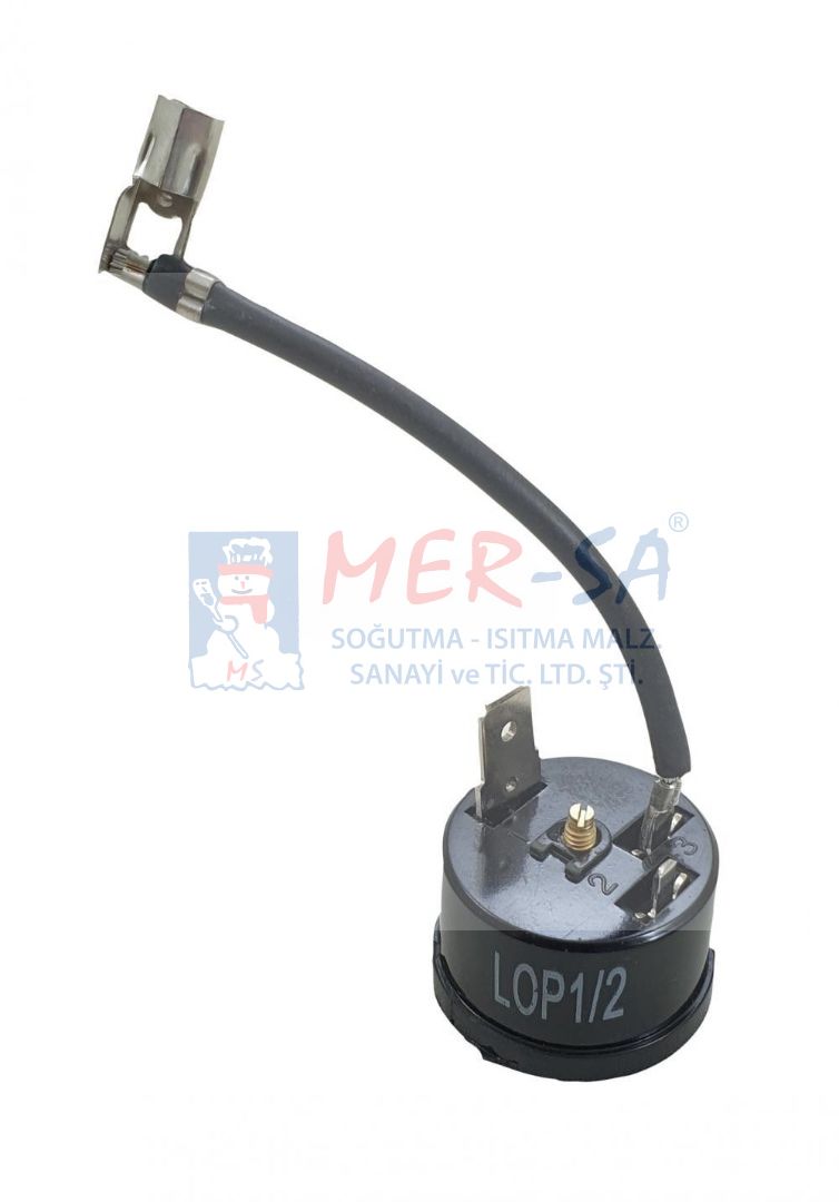 Termik 2 HP GE MRP