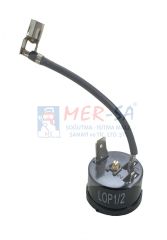 Termik 2 HP GE MRP