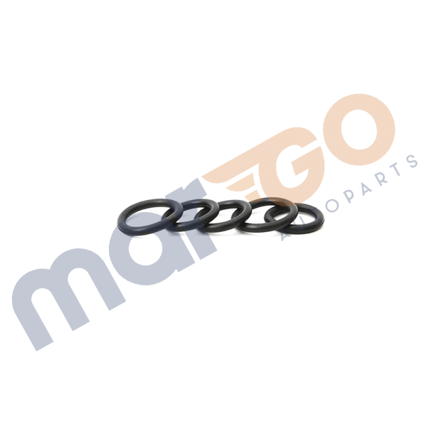 Emme Manifold Oringi Takım Focus 03- 1.6 Tdcı