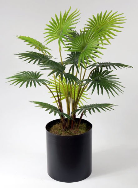 Yapay Palmiye Fan Palm 100cm