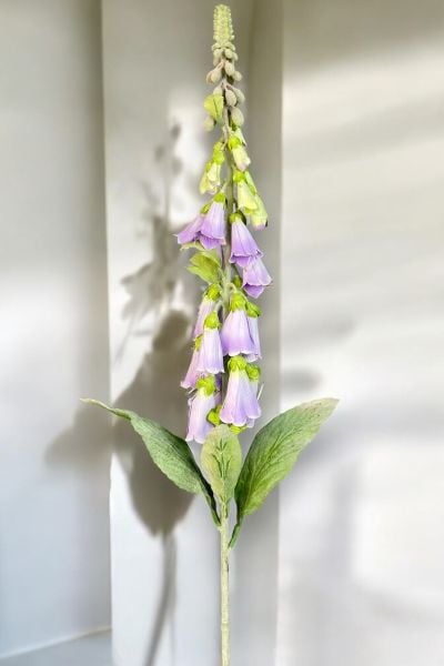 Yüksük Çiçeği Foxglove Lila